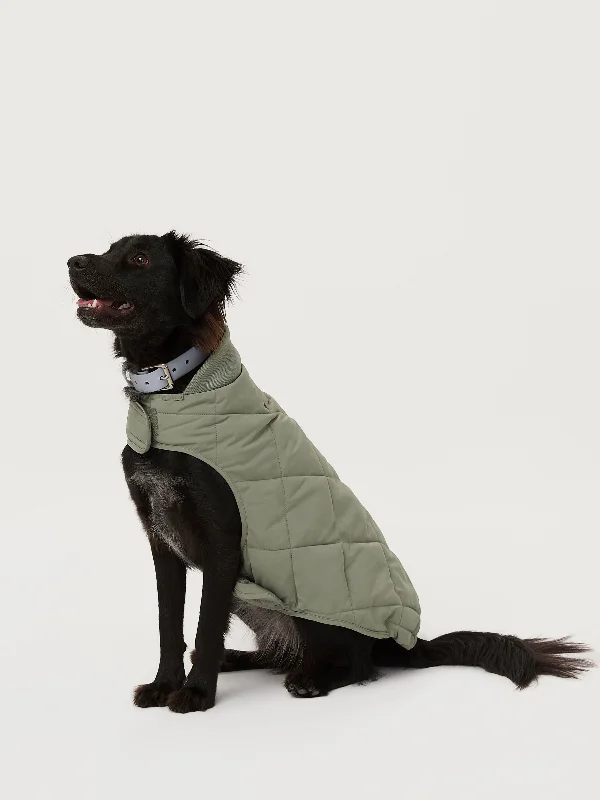 The Skyline Dog Jacket in Vetiver Green Tiered Jacket Buttoned Jacket Zippered Jacket